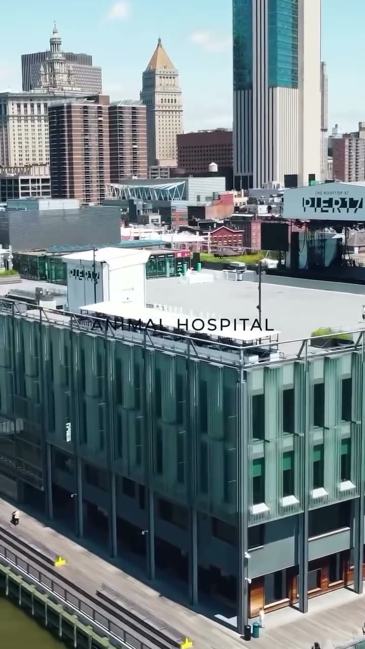 Drone shot of an animal hospital building at the Seaport in Manhattan, from its brand film
